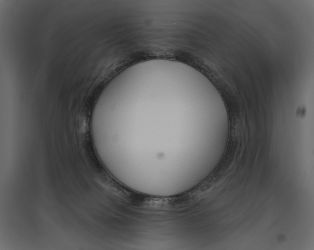 X0000096970084200803071016