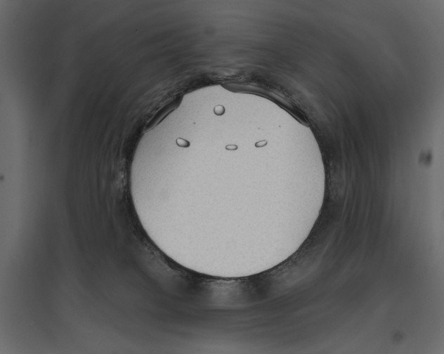 X0000096970085200803071016