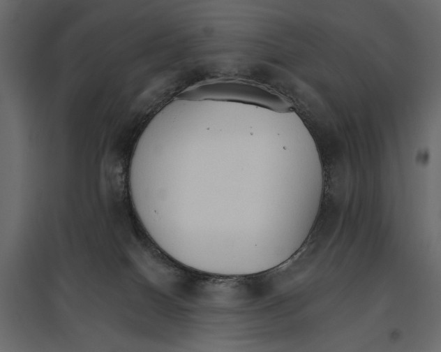 X0000096970086200803071016