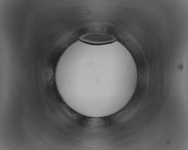X0000096970087200803071016