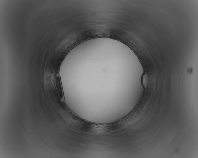 X0000096970088200803071016