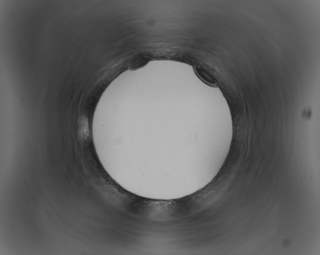 X0000096970089200803071016