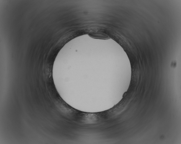 X0000096970091200803071016