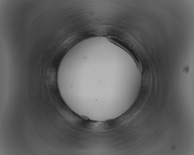 X0000096970092200803071016