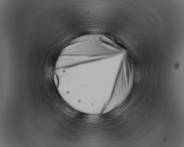 X0000096970093200803071016