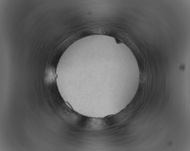 X0000096970095200803071016