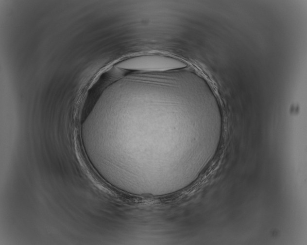 X0000096970097200803071016