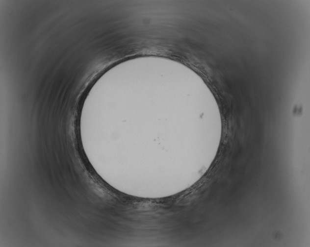 X0000096970098200803071016