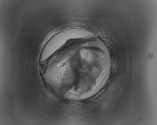 X0000096970099200803071016