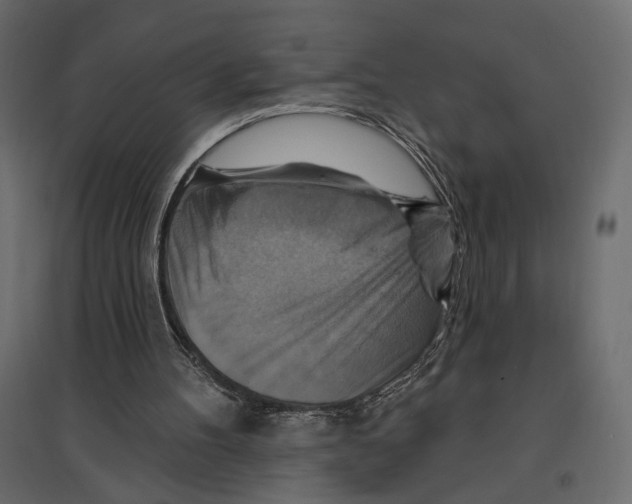 X0000096970100200803071016