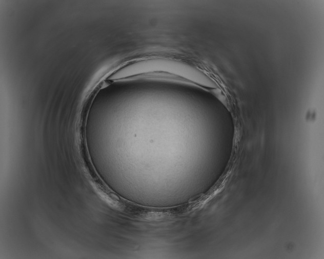 X0000096970101200803071016