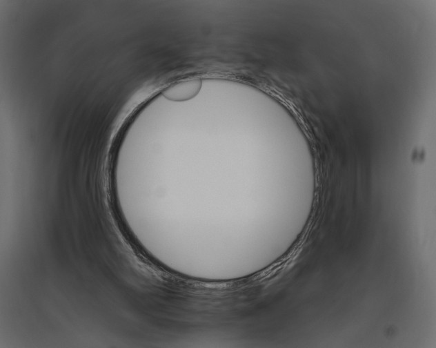 X0000096970102200803071016
