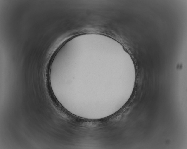 X0000096970103200803071016