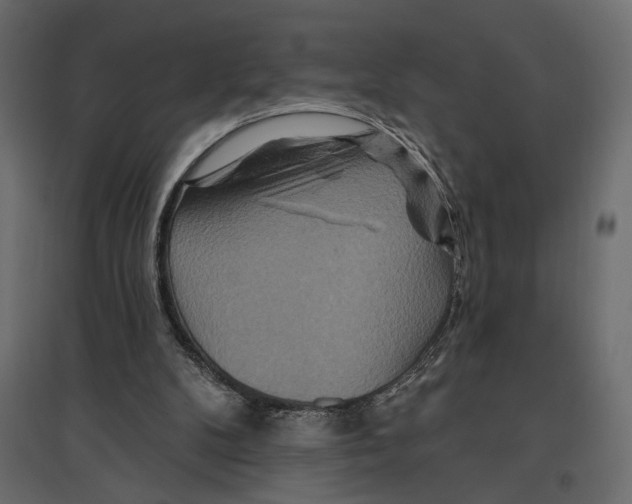 X0000096970104200803071016