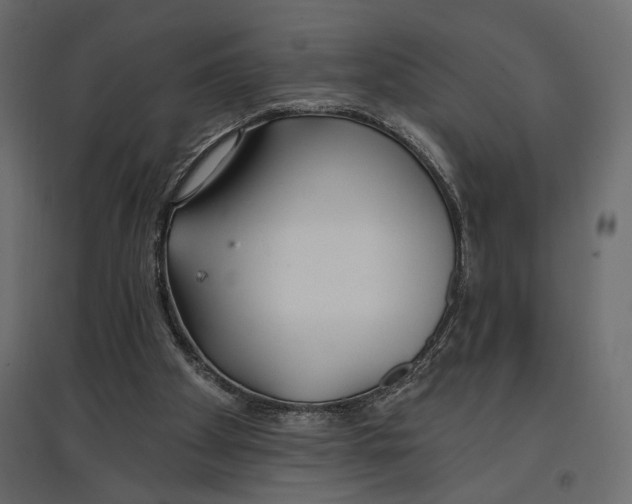 X0000096970105200803071016