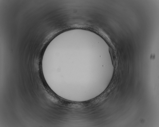 X0000096970106200803071015
