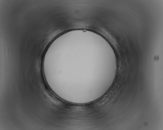 X0000096970107200803071015