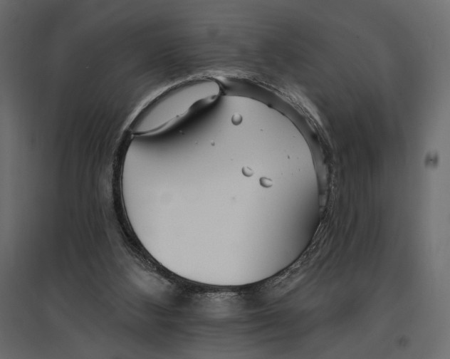X0000096970108200803071015