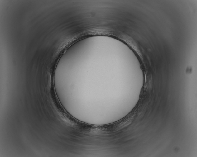 X0000096970109200803071015