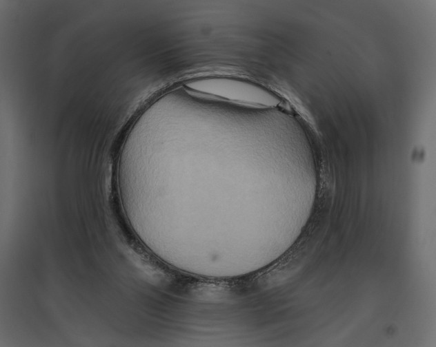 X0000096970110200803071015
