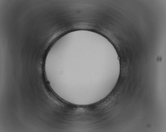 X0000096970111200803071015