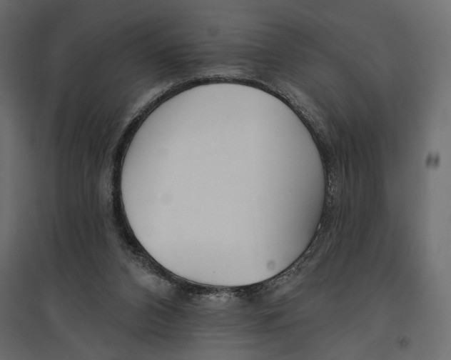 X0000096970112200803071015