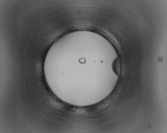 X0000096970113200803071015