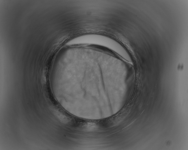 X0000096970114200803071015