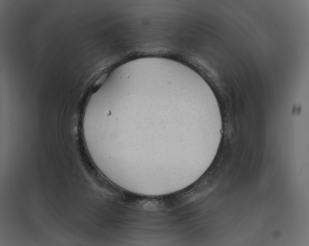 X0000096970115200803071015