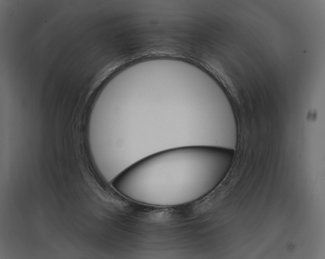 X0000096970116200803071015