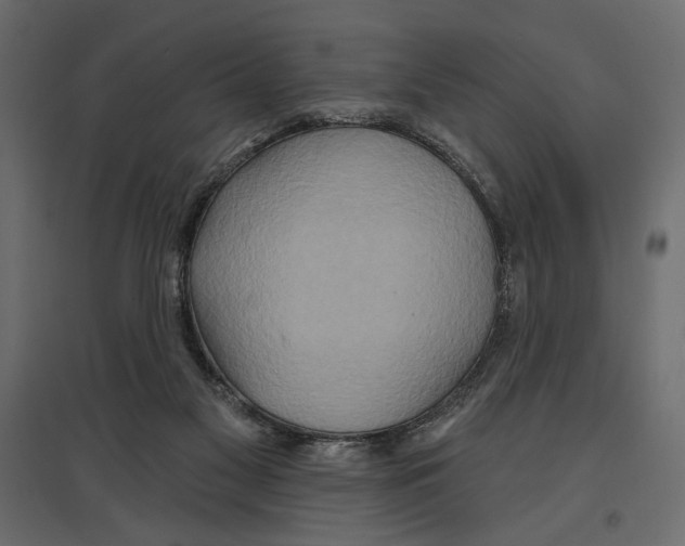 X0000096970117200803071015