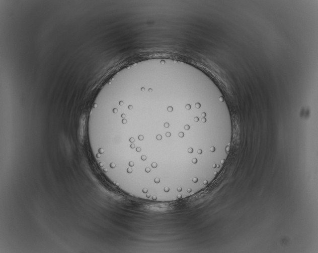 X0000096970118200803071015