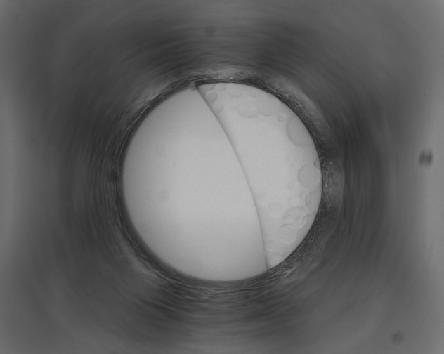 X0000096970119200803071015