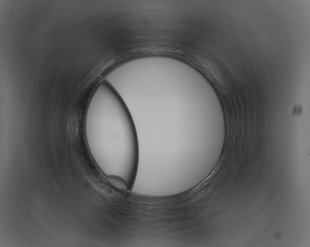 X0000096970120200803071015