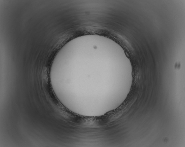 X0000096970121200803071015