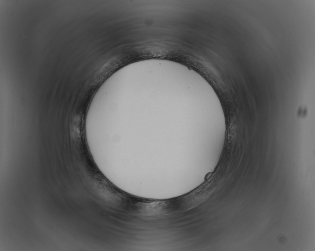 X0000096970122200803071015