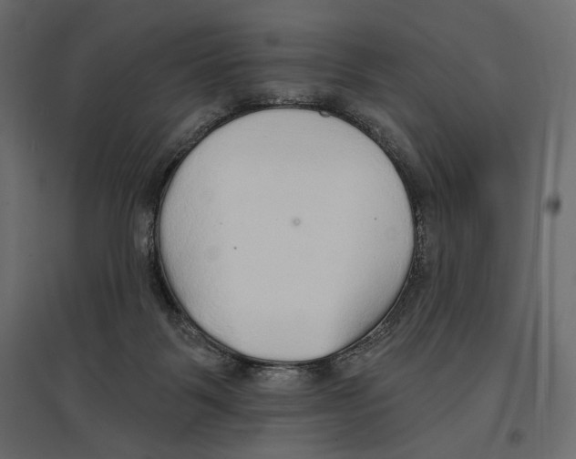 X0000096970123200803071015