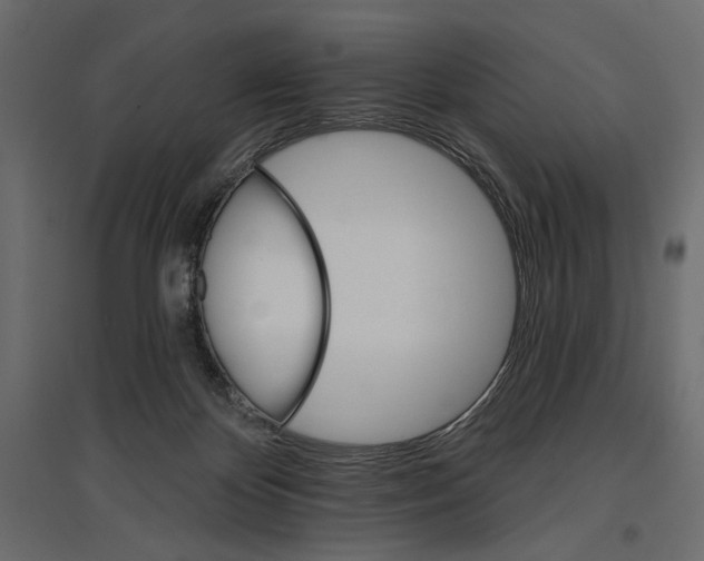X0000096970124200803071015