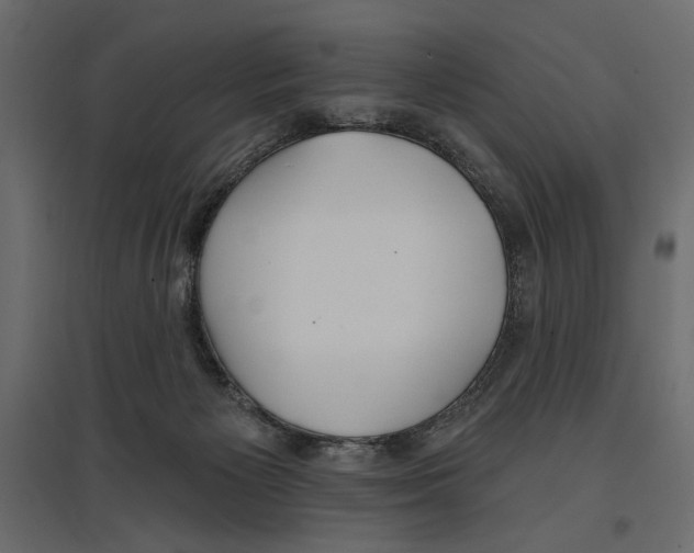 X0000096970125200803071015
