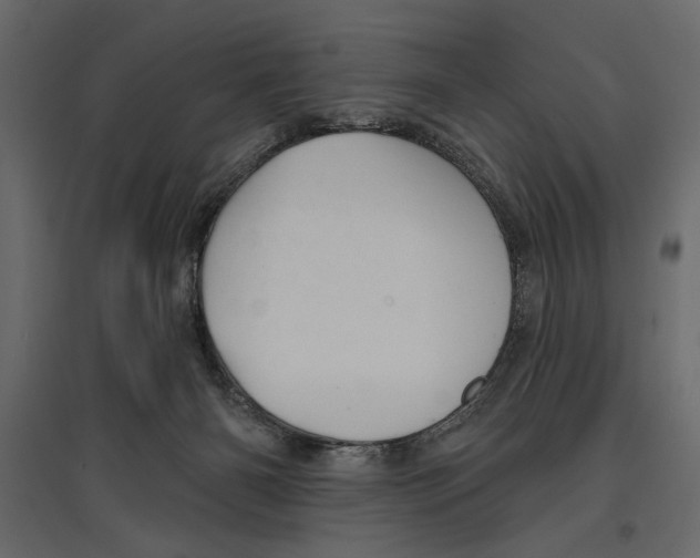 X0000096970126200803071015