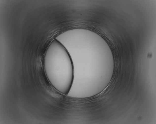 X0000096970128200803071015