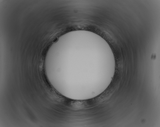 X0000096970129200803071015