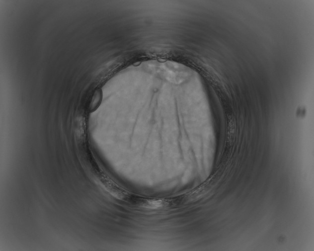 X0000096970130200803071015