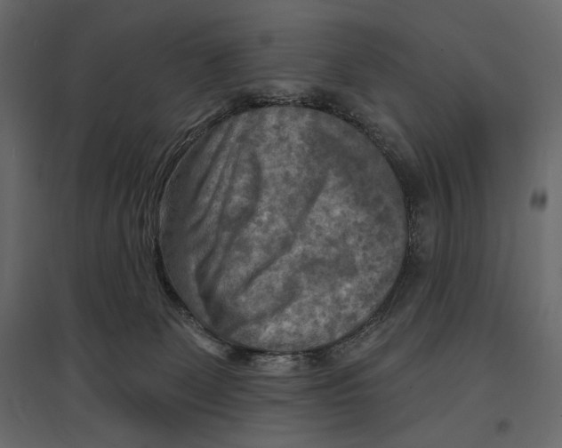X0000096970131200803071015