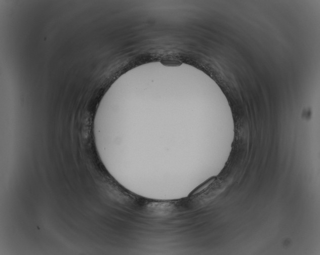 X0000096970133200803071015