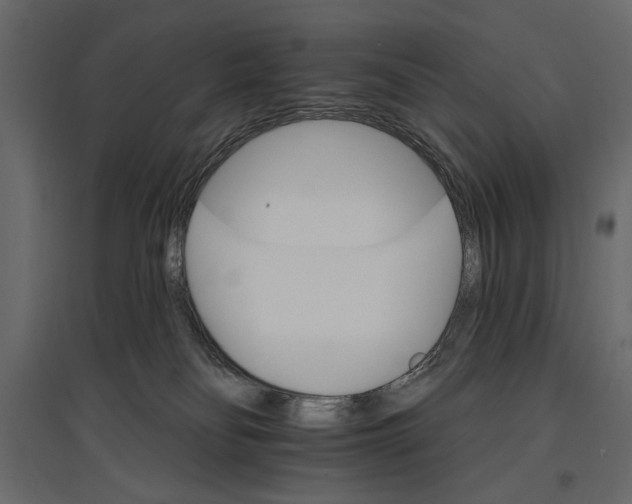 X0000096970134200803071015