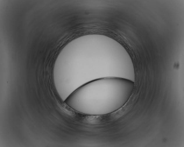 X0000096970136200803071015