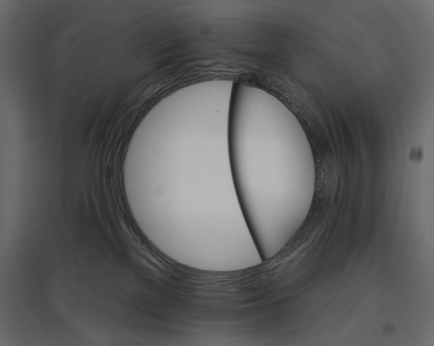 X0000096970137200803071015