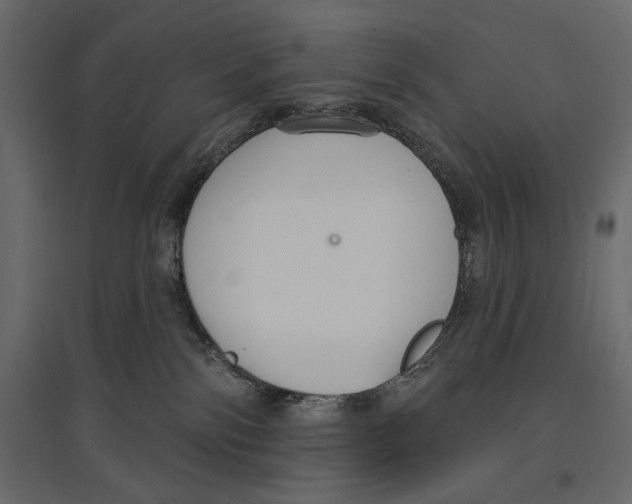 X0000096970138200803071015