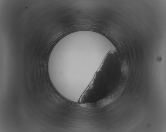 X0000096970139200803071015